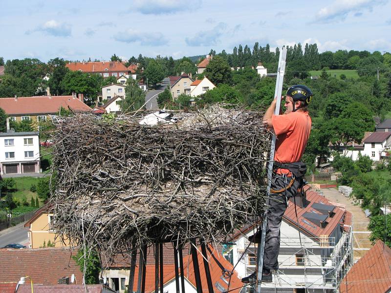 V Milíně to žije.