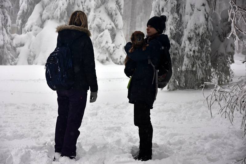 Čím výše účastníci stoupali, tím bylo okolí krásnější, v lese bylo téměř 50 centimetrů sněhu.Na Pražáku na příchozí čekaly medaile, červené razítko, pečení buřtíků a teplé alkoholické i nealkoholické nápoje.