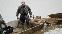 Výlov začínal kolem sedmé hodiny a během dopoledne proběhl i druhý zátah sítí. S blížícím se polednem proud lidí mířící na hráz rybníka neustával, přicházely i rodiny s kočárky.