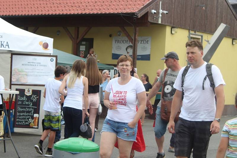 Čtvrtý ročník Rybího festivalu v Dobříši letos navštívilo přes dva tisíce lidí.Podle organizátorů akce jich letos přišlo výrazně méně, než v loňském roce.