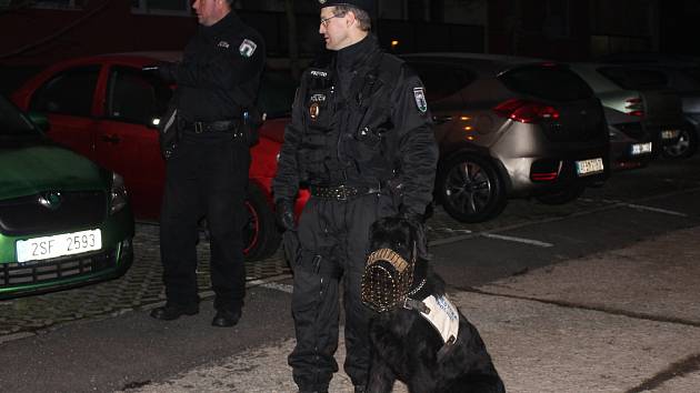Večer, až do uzavření volebních místností, kontroloval pořádek a poklidný průběh voleb v pravidelných intervalech také psovod dobříšské městské policie se svým služebním psem Paganinim.