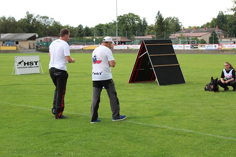 Letos se konal v Dobříši již 12. ročník Mezinárodního kynologického festivalu CACIT.