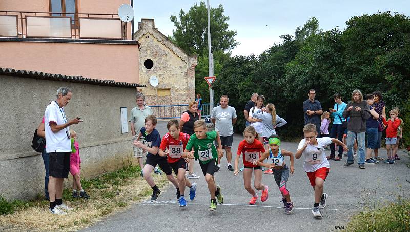 Již posedmnácté se konal v neděli 7. července běh do vrchu Lochovice - Plešivec.