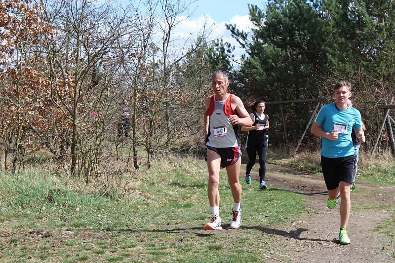 Dobříš - Hezké slunečné počasí vylákalo běžce a ti si zazávodili v sobotu 14. dubna v Dobříši. Jarní běh a Stomatologický běh prověřil běžeckou zimní přípravu na trase 4,2 a 8,4 kilometru.