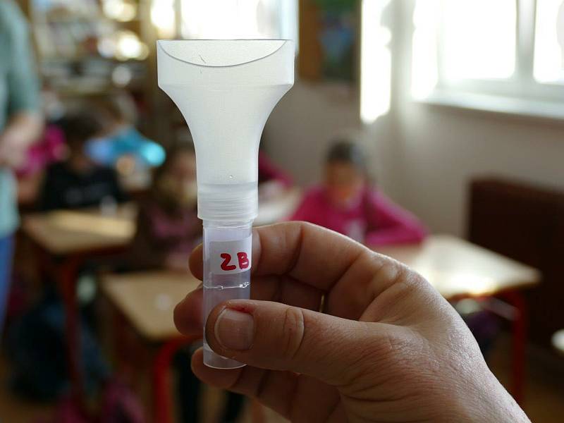Ze zkušebního testování žáků prvních a druhých tříd na koronavirus na základní škole Propojení v Sedlčanech.