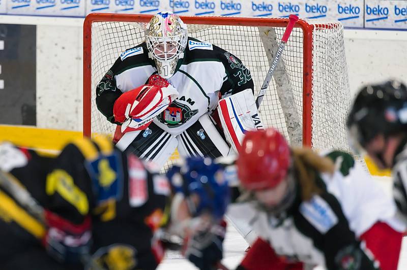 Hokejistky HC Příbram porazily v 7. kole extraligy Litvínov 10:3.