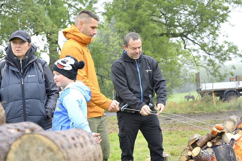 Z velkého sázení v Brdech