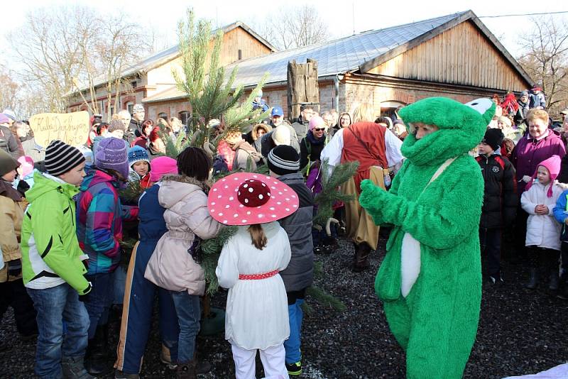 Masopust v Hornickém muzeu Příbram 2016.