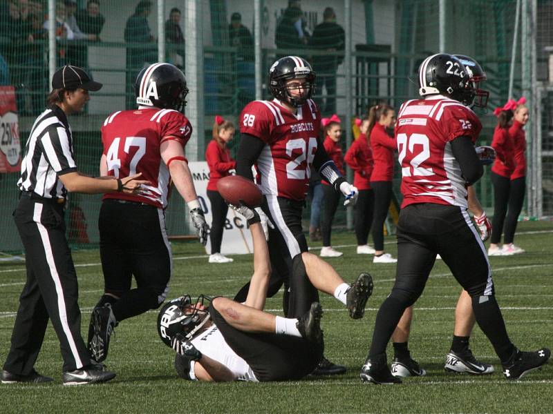 Bobcats - Black Panthers.