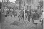 Výsadba lípy v roce 1968 v Mutějovicích. Strom bude v brzké době zařazen na mapu Stromů svobody.