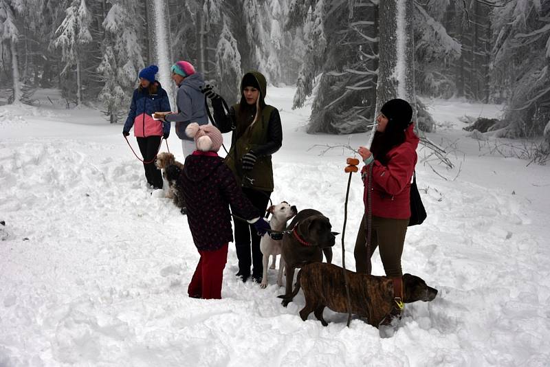 Čím výše účastníci stoupali, tím bylo okolí krásnější, v lese bylo téměř 50 centimetrů sněhu.Na Pražáku na příchozí čekaly medaile, červené razítko, pečení buřtíků a teplé alkoholické i nealkoholické nápoje.