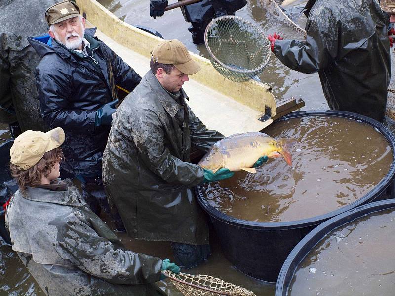 Výlov Velkého Kotelského rybníku v sobotu 6. dubna.