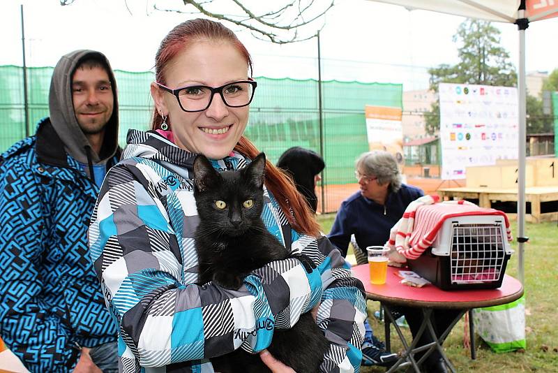 Den pro zvíře v lesoparku u Litavky v Příbrami. Darina Kučerová ze Společnosti přátel koček Příbram s nalezeným kocourkem v náručí .