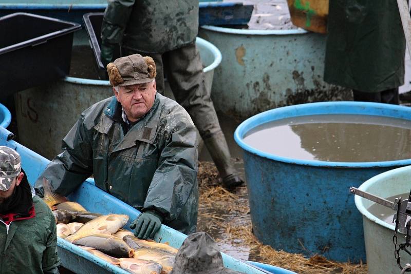 Výlov začínal kolem sedmé hodiny a během dopoledne proběhl i druhý zátah sítí. S blížícím se polednem proud lidí mířící na hráz rybníka neustával, přicházely i rodiny s kočárky.