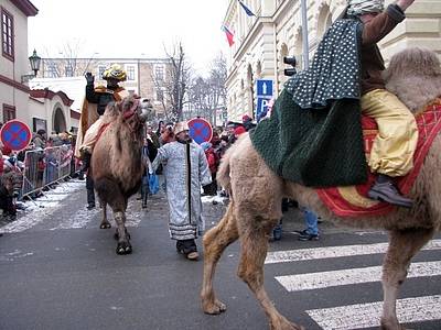 Do příbramských ulic zavítali opět Tři králové na živých velbloudech