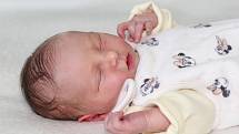 Rozálie Šmejkalová se narodila 6. srpna 2021 v Příbrami. Vážila 3150 g a měřila 48 cm. Doma Dobříši ji přivítali maminka Eliška a tatínek Vít.