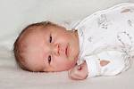 Vilém Přigrodský se narodil 7. listopadu 2022 v Příbrami. Vážil 4180 g a měřil 53 cm. Doma v Počáplech ho přivítali maminka Júlia, tatínek Jakub a dvouletá Eliška.