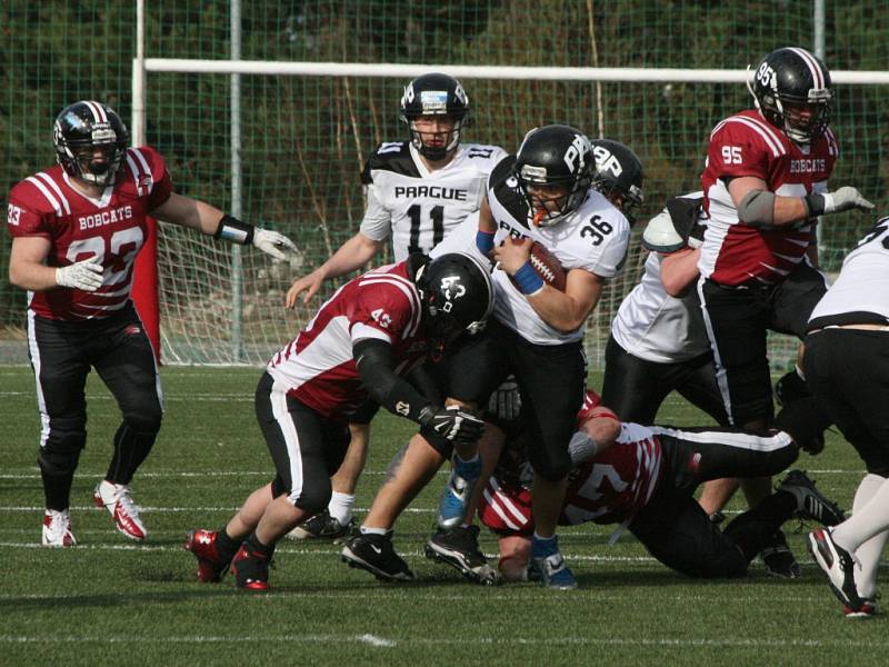 Bobcats - Black Panthers.