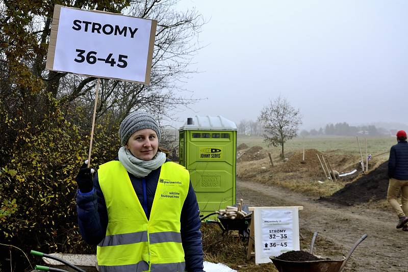 Nově vysazená Alej svobody u Památníku Vojna u Příbrami.