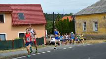 Již posedmnácté se konal v neděli 7. července běh do vrchu Lochovice - Plešivec.