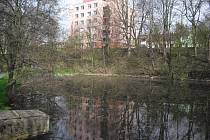 Okolí Čekalíkovského rybníka chce město Příbram revitalizovat.