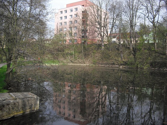 Okolí Čekalíkovského rybníka chce město Příbram revitalizovat.