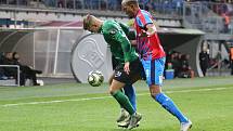 Zápas 22. kola FORTUNA:LIGY Viktoria Plzeň - 1. FK Příbram.