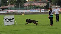 Letos se konal v Dobříši již 12. ročník Mezinárodního kynologického festivalu CACIT.