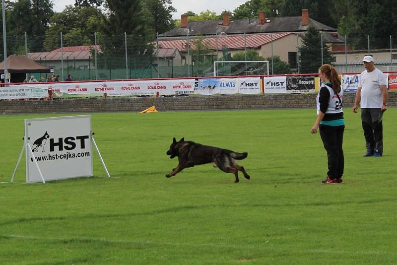 Letos se konal v Dobříši již 12. ročník Mezinárodního kynologického festivalu CACIT.