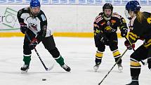 Hokejistky HC Příbram porazily v 7. kole extraligy Litvínov 10:3.