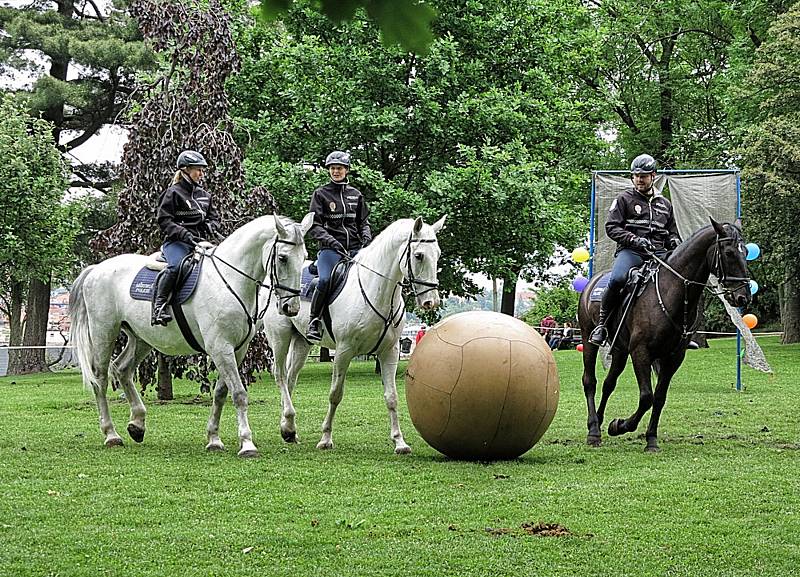 Ideální příležitost, jak se seznámit s prací hasičů, policistů, záchranářů nebo vojáků, představuje Den bezpečné Příbrami tento pátek od 9 hodin v areálu přírodního koupaliště Nový rybník.