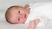 Viktorie Broumová se narodila 7. listopadu 2022 v Příbrami. Vážila 3090 g a měřila 50 cm. Doma v Kamýku n. Vltavou ji přivítali maminka Tereza a tatínek Milan.