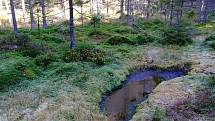 Prameniště Padrťského potoka, poblíž kterého v minulosti rožmitálský lesník Karel Daniel Gangloff  vybudoval kanál, který odklonil tok vody směrem k rožmitálskému údolí.