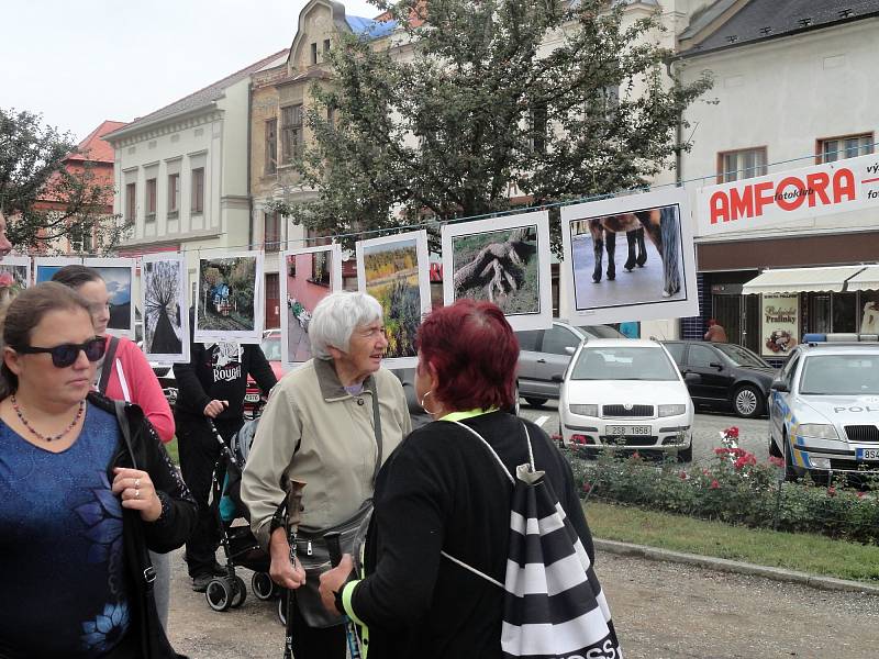 Rakovnické posvícení 2017.