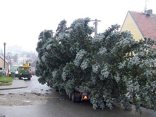 Stavění vánočního stromu Rakovník 2010