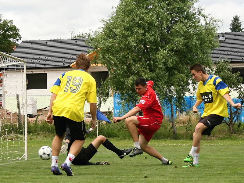 Beran cup ovládla Elektro Viola.