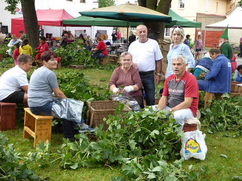 Česání tyčové chmelnice v Kolešovicích a dočesná