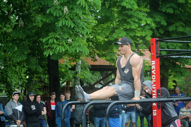 Pátý ročník Street workout Battle v Čermákových sadech.