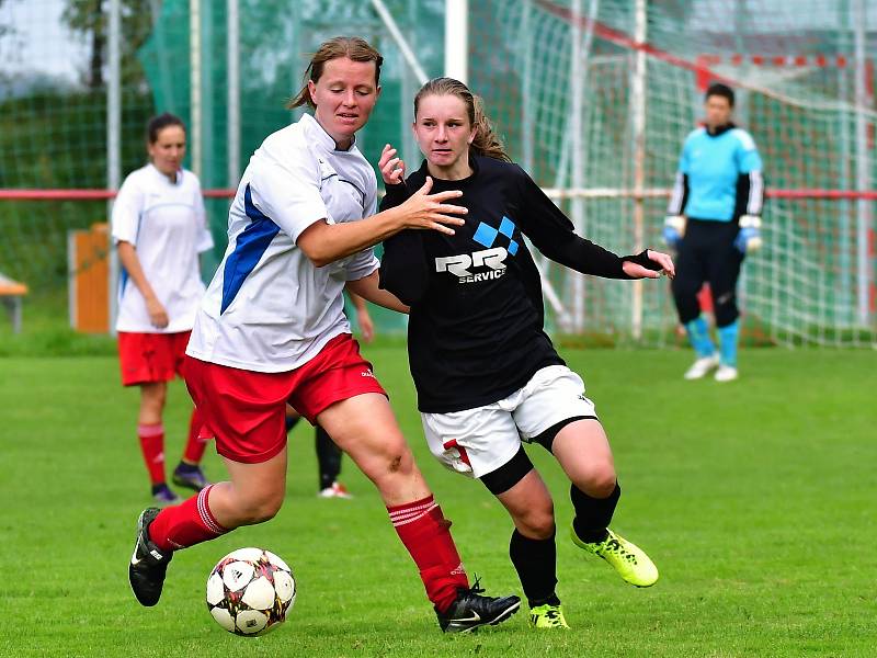 Pavlíkovské Lvice vyhrály v dalším kole divize žen v Brňanech 6:1.