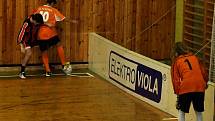 Viola Cup 2008