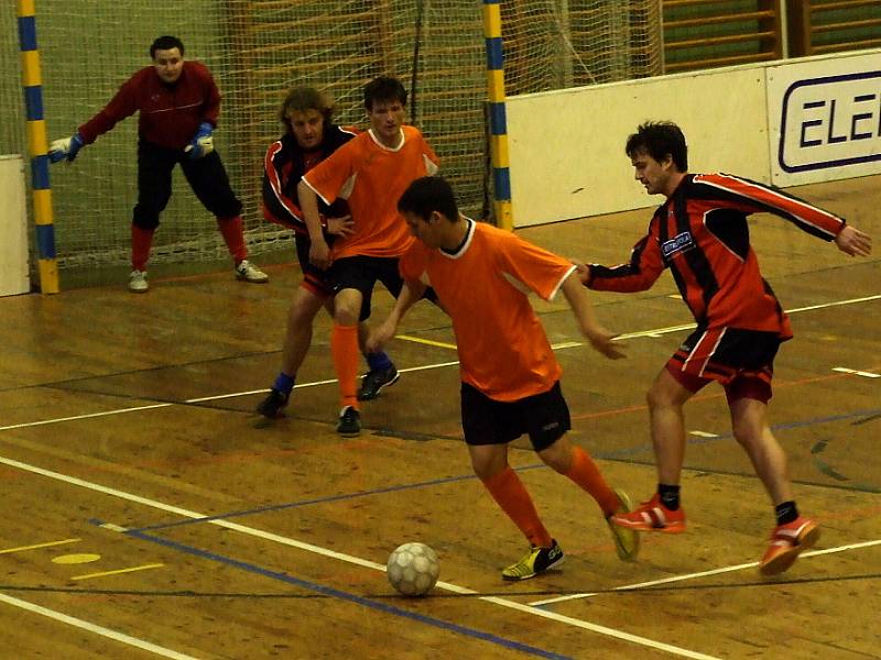 Viola Cup 2008