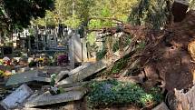 Vítr na rakovnickém hřbitově vyvrátil několik stromů, které poničily náhrobky.
