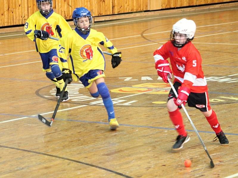 Hokejbalisté, kteří v druhé polovině 90. let hráli Rakovnickou hokejbalovou ligu, se opět sešli ve sportovní hale, aby pomohli potřebným.