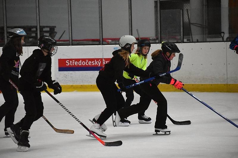 Led na rakovnickém zimním stadionu je zaplněn každé dopoledne školními dětmi. Hokej si v úterý vyzkoušela i sportovní třída novostrašecké základky.