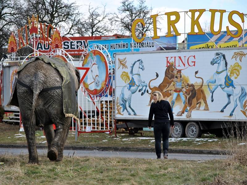 Do Rakovníka zamířil cirkus 