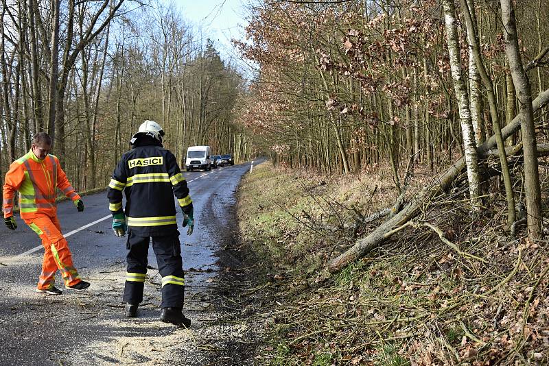 Rakovničtí hasiči v rozmezí několika minut museli odstraňovat dva padlé stromy u Senomat.