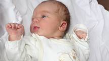JAN POLÁK, JESENICE. Narodil se 2. října 2017. Po porodu vážil 4,26 kg. Rodiče jsou Anna a Jan.