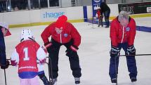 Týden hokeje na rakovnickém zimním stadionu přilákal v pátek 25. ledna 2019 třicet jedna začínajících bruslařů.
