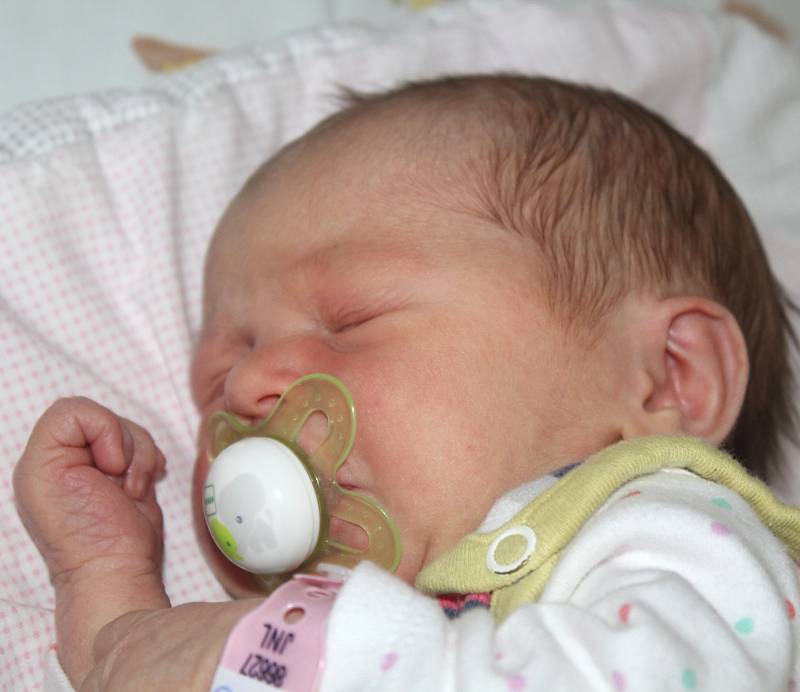 VIKTORIE MÜLEROVÁ, DŘEVEC Narodila se 20. prosince 2017. Po porodu vážila 2,78 kg a měřila 48 cm. Rodiče jsou Monika a Petr.