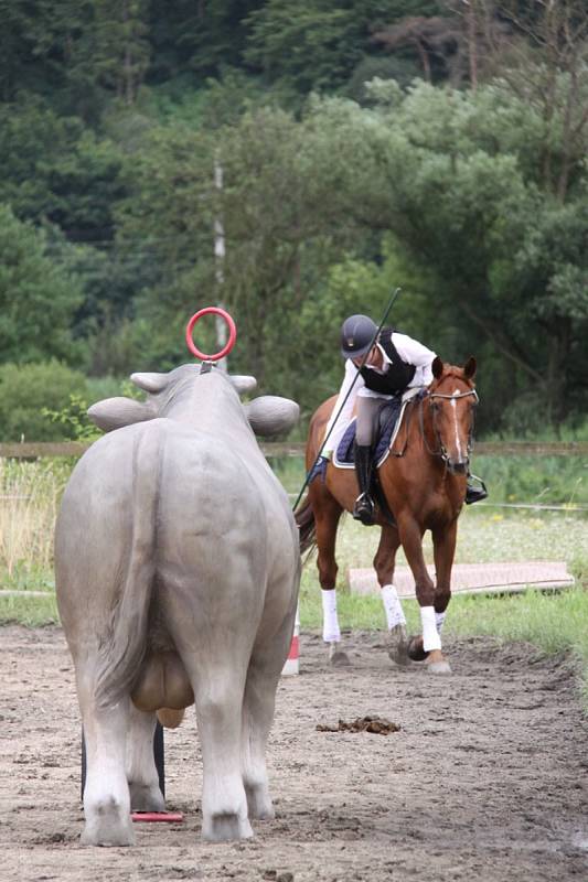 Národních soutěží Working Equitation ve Rtyni nad Bílinou se zúčastnili i koně a jezdci hředelského Jezdeckého klubu Spongilit.